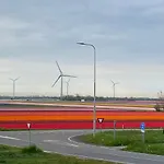 Zijperweg Vlakbij Zee, En Bos * Petten