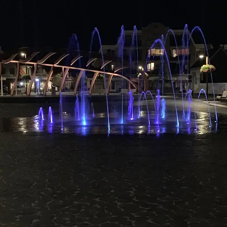 Zijperweg Vlakbij Zee, En Bos