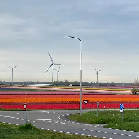 Zijperweg Vlakbij Zee, En Bos * Petten