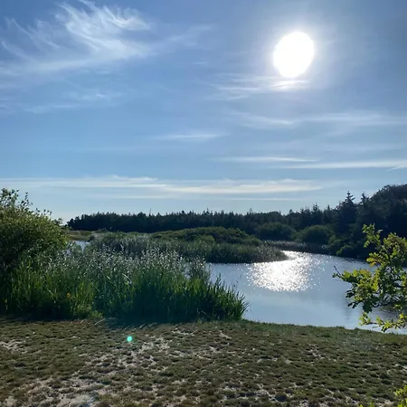 Zijperweg Vlakbij Zee, En Bos * Petten