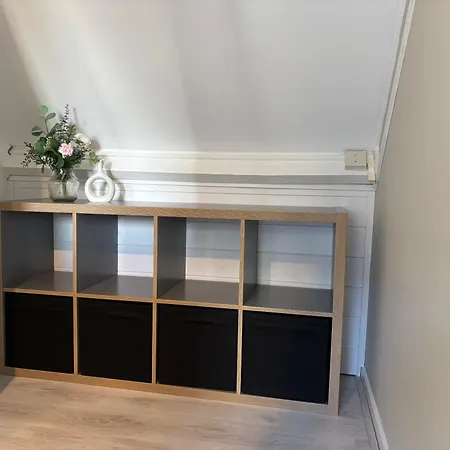 Zijperweg Vlakbij Zee, En Bos *