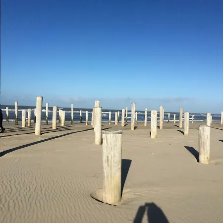Zijperweg Vlakbij Zee, En Bos * Petten