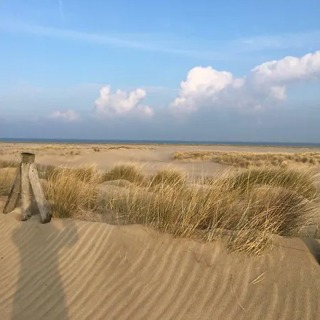 Tatil Evi Zijperweg Vlakbij Zee, En Bos